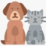 Pets & Animals